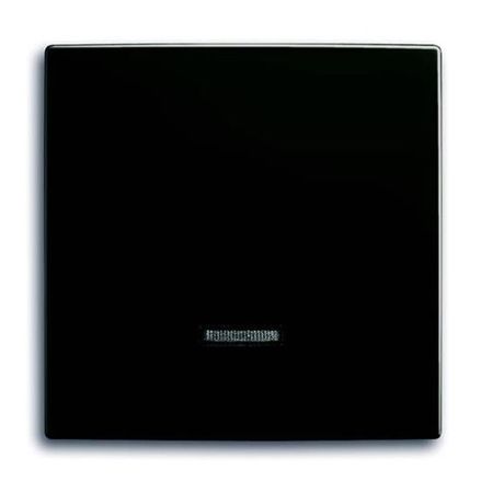 Накладка на светорегулятор ABB BASIC55, château-black, 6543-95-507