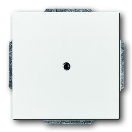 Заглушка ABB FUTURE, скрытый монтаж, белый бархат, 1742-884