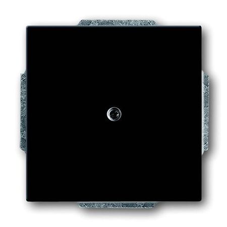 Заглушка ABB FUTURE, скрытый монтаж, черный бархат, 1742-885