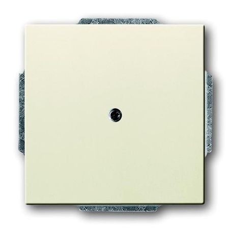 Заглушка ABB AXCENT, скрытый монтаж, chalet-white, 1742-896-500