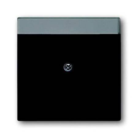 Накладка на розетку информационную ABB, скрытый монтаж, черный бархат, 1800-885