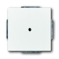 Заглушка ABB, скрытый монтаж, альпийский белый, 1742-84-500