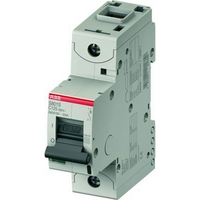 Автоматический выключатель ABB S800C 1P 100А (C) 15кА, S801C C100
